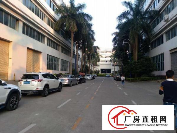 
出租龙岗区横岗新出楼上3700平厂房带装修配两部3吨货梯