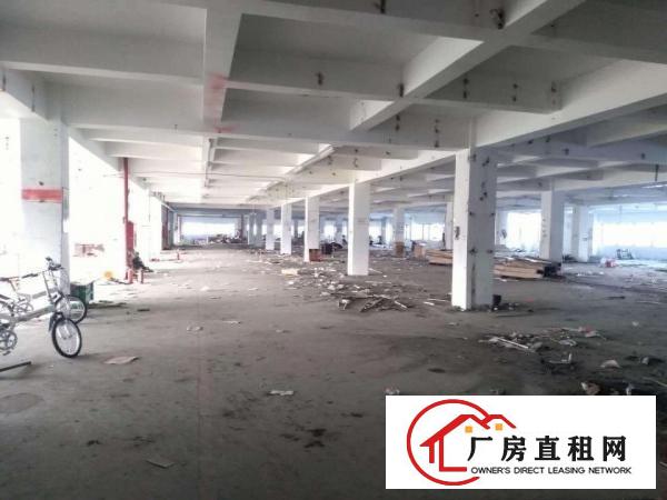 
出租龙岗区横岗新出楼上3700平厂房带装修配两部3吨货梯