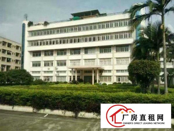 
横岗茂兴路二楼1400平方现成地坪漆精装修