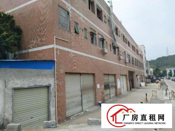 
出租龙岗区横岗大康3900平独院厂房