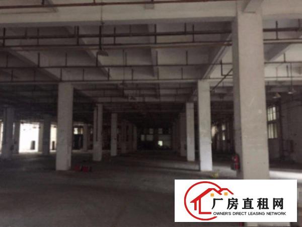
横岗塘坑地铁站标准厂房一楼1300平出租形象好交通方便
