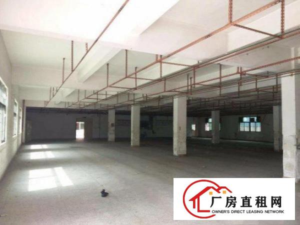 
横岗228工业园独院厂房5100平方水电齐全空地大招租