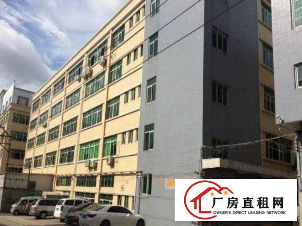
横岗龙岗大道新出1200平方楼上厂房招租无公摊