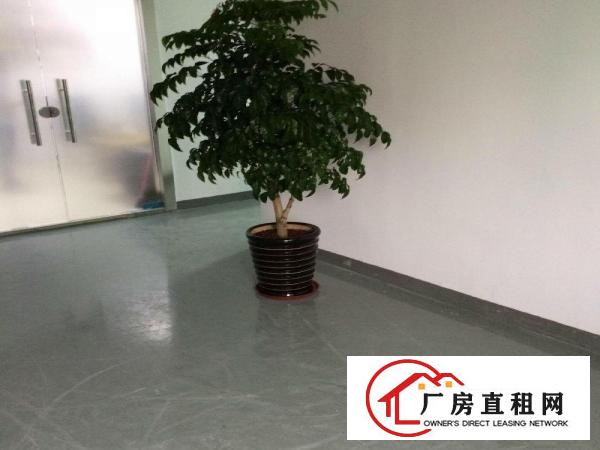 
出租龙岗区横岗业主直招惠盐路边2850平米一楼厂房急租