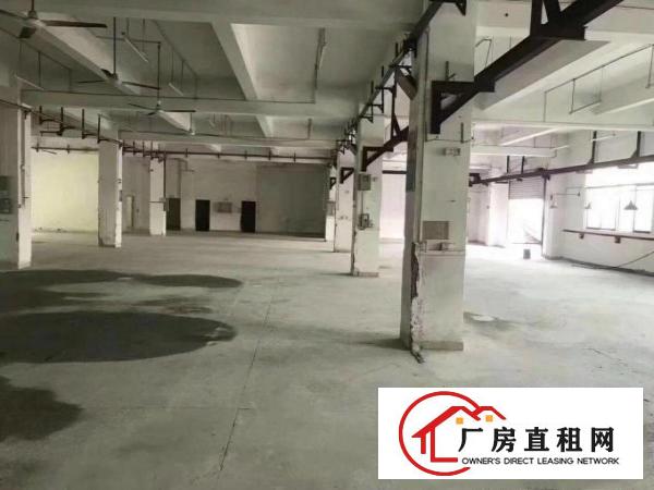 
横岗惊现小独院5400平厂房出租