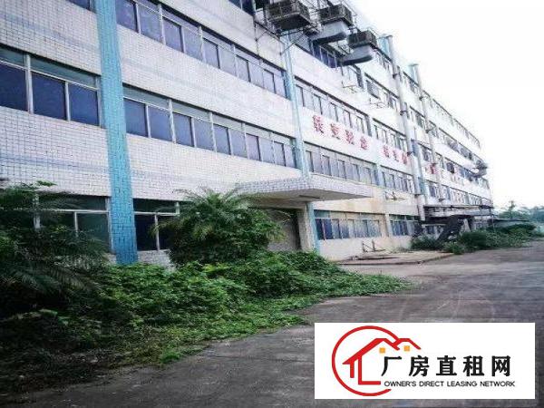 
宝龙工业区花园式厂房19800平米16元诚租