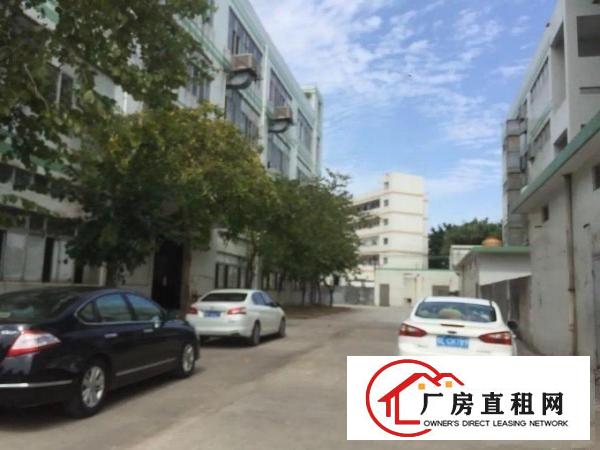
横岗永湖地铁站附近独院厂房6400平出租
