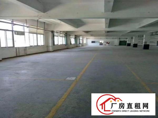 
横岗新出花园式有装修独院厂房6500平出租
