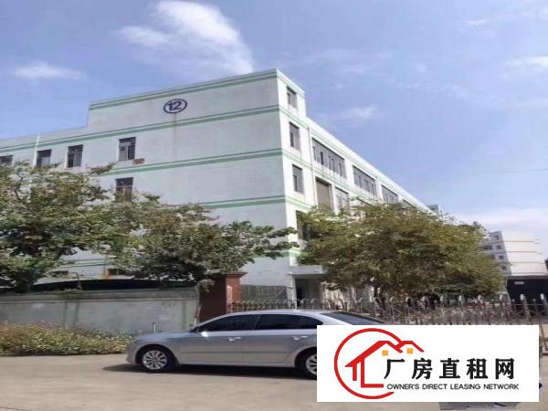 
横岗新出花园式有装修独院厂房6500平出租