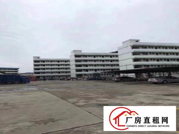 
横岗独院6400原房东带豪华装修厂房出租