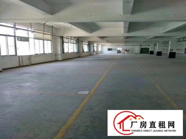 
横岗独院6400原房东带豪华装修厂房出租