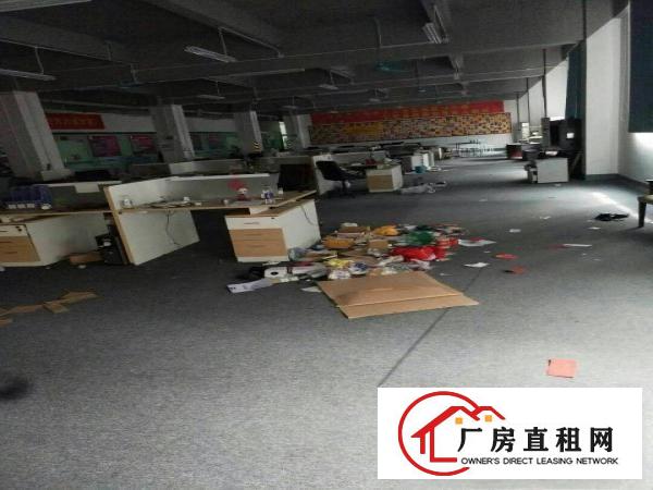 
横岗六约地铁口电商园1楼1390平米带装修办工家具