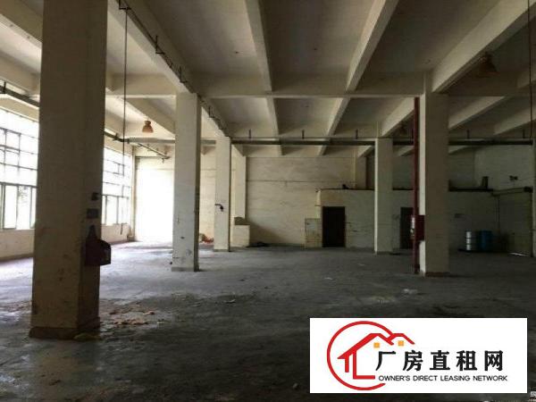 
横岗安良沙荷路大型工业区一楼800平高6米