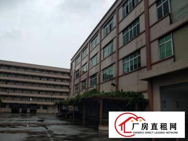 
横岗大康新出46000平原房东独院厂房出租空地大
