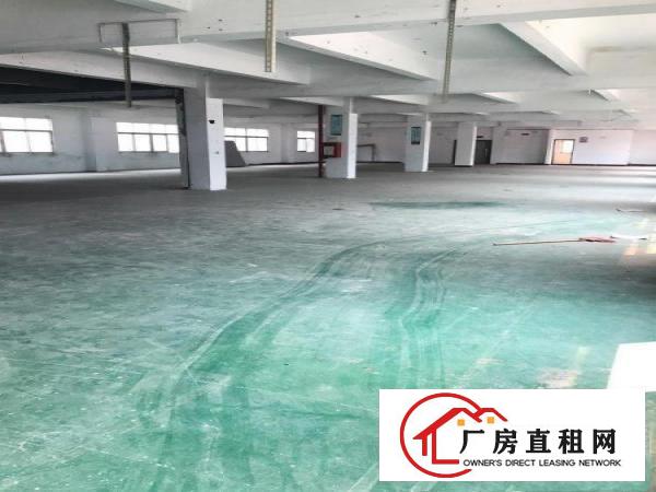 
横岗横岗沙河路边新出楼上精装厂房1600平米带地坪