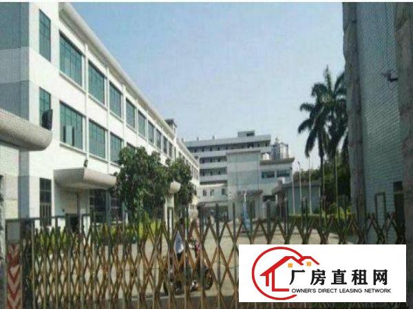 
横岗嘉华路新出800平方带办公室一楼厂房招租
