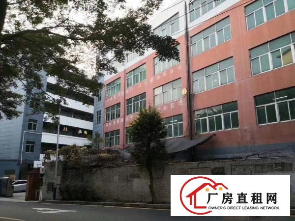 
横岗四联10000平方厂房出租大小可分。