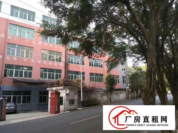 
横岗四联10000平方厂房出租大小可分。