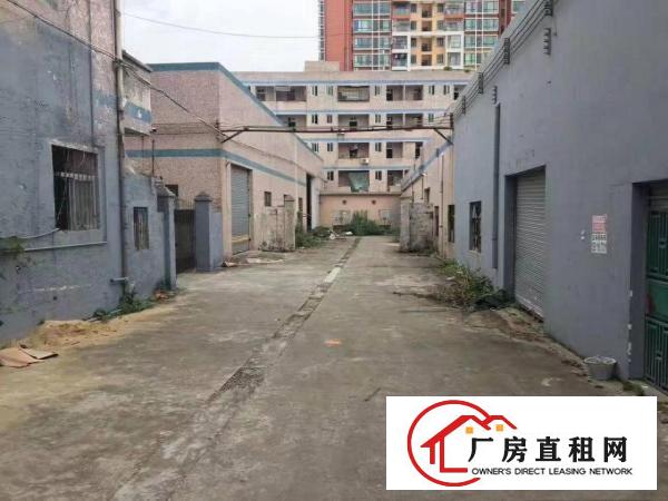 
横岗安良2800平方一楼厂房出租