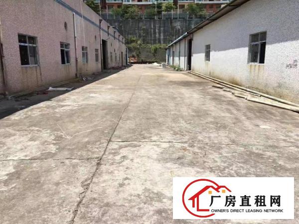 
横岗安良2800平方一楼厂房出租