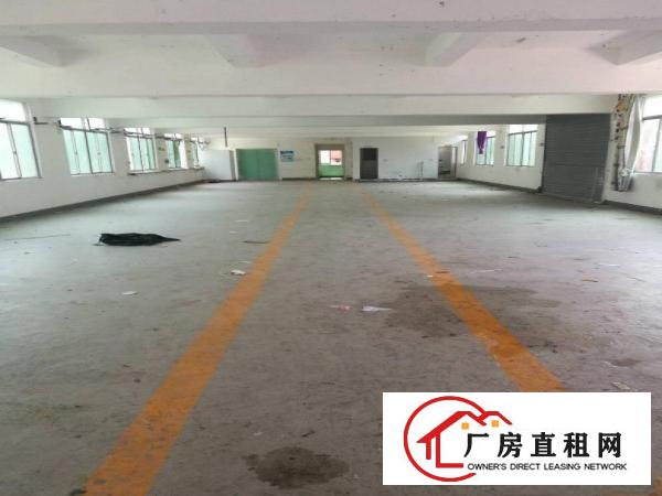 
横岗西坑2960平方带装修独院厂房出租
