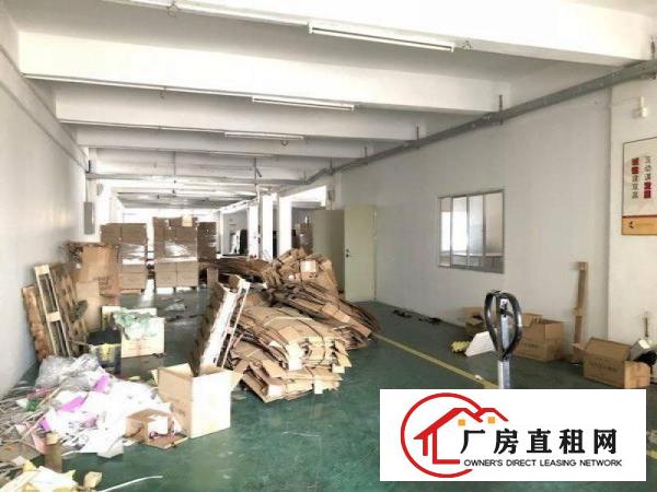 
横岗六约780平方带装修厂房出租