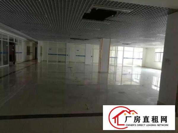 
横岗大康独门独院4900平方厂房招租
