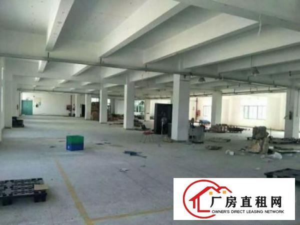 
横岗大康独门独院4900平方厂房招租