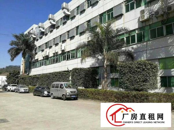
横岗荷坳地铁站1200平带装修厂房出租可分租