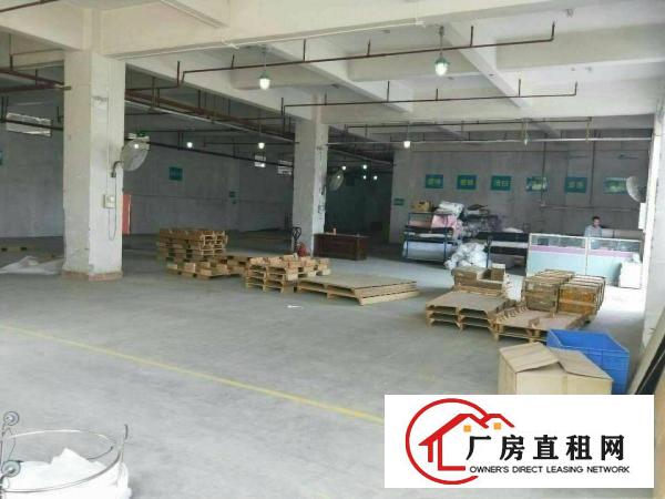 
横岗六约塘坑地铁站附近新出独院厂房2600平