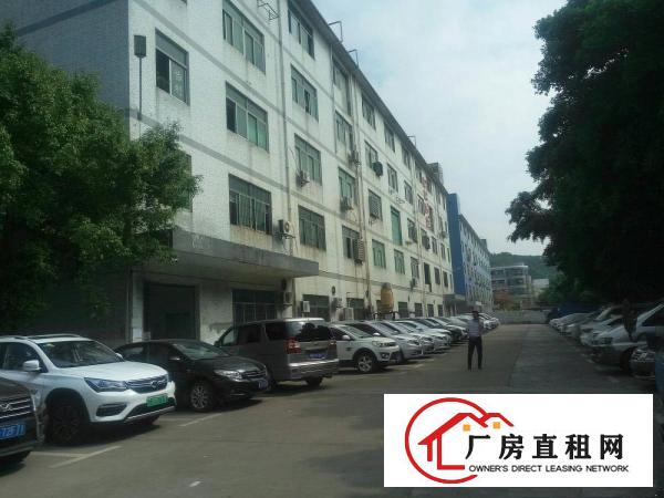 
横岗228工业区1850平带前台装修办公室厂房出租