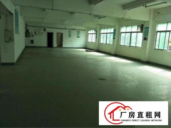 
横岗新出独门独院3500平方出租
