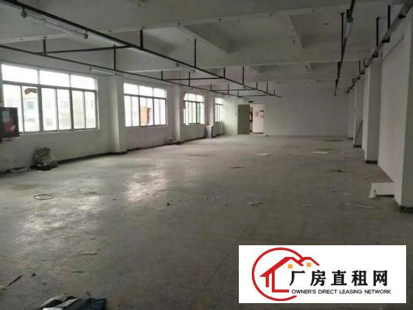 
横岗四联厂房200500800单价18元