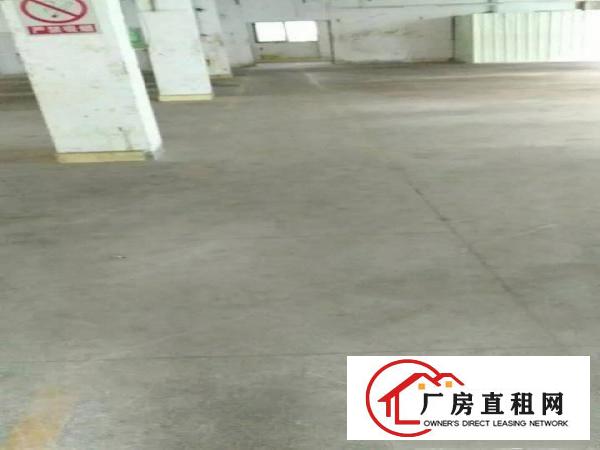 
横岗四联厂房200500800单价18元