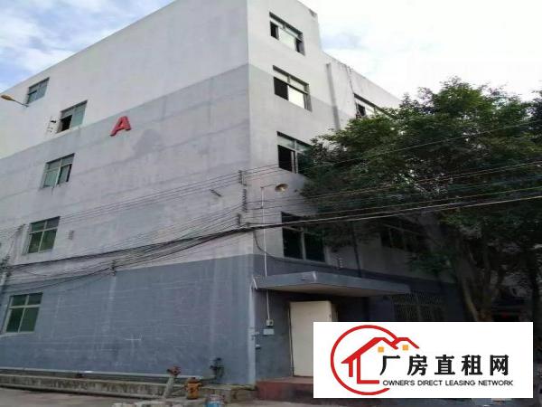 
荷坳260500790平米厂房出租单价16元