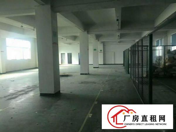 
横岗大康78015603200平厂房单价18元