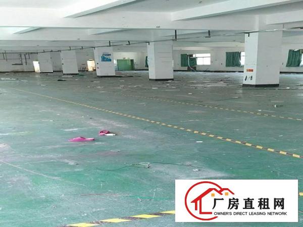 
横岗高速口带装修厂房500到10000平（可分租）