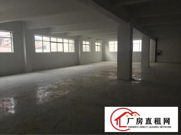 
横岗大康工业区厂房2000平方出租，100起分租