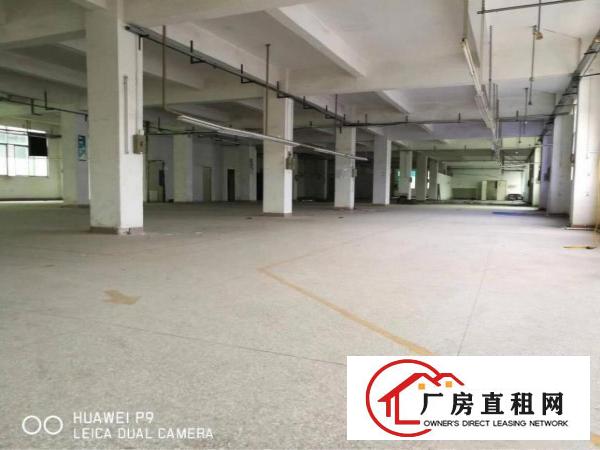 
横岗大康工业区厂房2000平方出租，100起分租