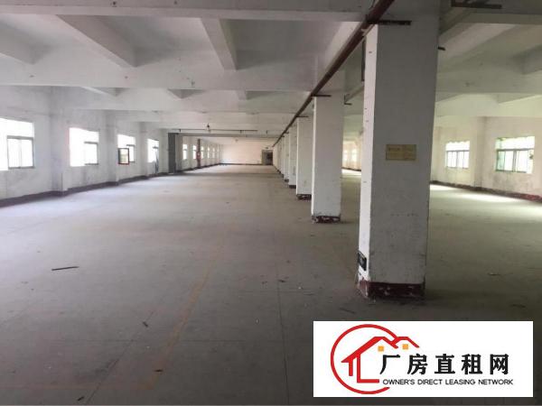 
横岗沙荷路边独门独院厂房出租，500平方起分租