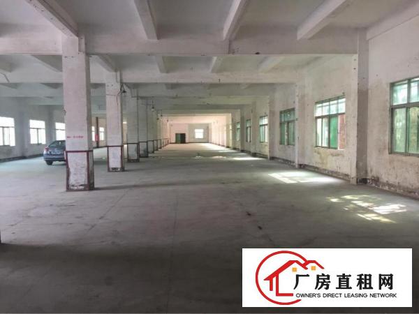 
横岗沙荷路边独门独院厂房出租，500平方起分租