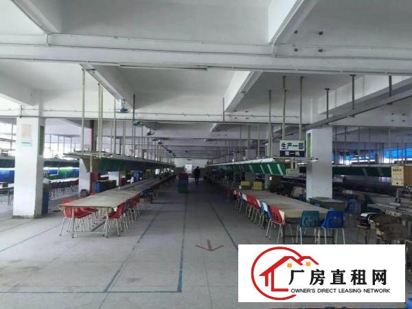 
横岗荷坳地铁站500米电子厂2500平方出租可分租