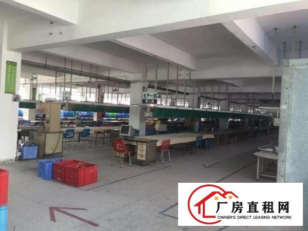 
横岗荷坳地铁站500米电子厂2500平方出租可分租