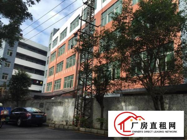 
横岗四联独院厂房出租，可分租