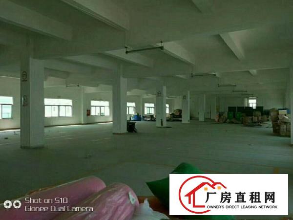 
横岗六约大型工业区1600平方厂房出租,精装修