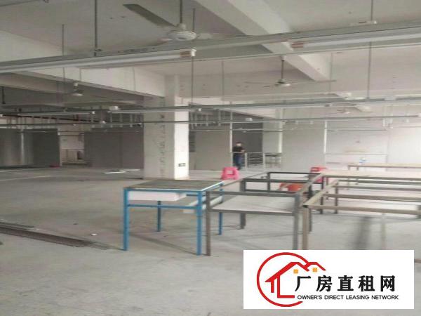 
横岗228工业区一楼800平方，楼上1300平可分
