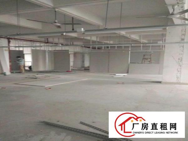 
横岗228工业区一楼800平方，楼上1300平可分