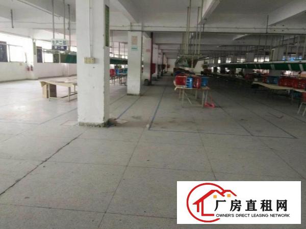 
横岗大康新出2200平方带装修厂房，可分租400平