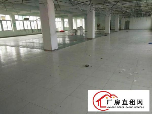 
横岗大康新出2200平方带装修厂房，可分租400平