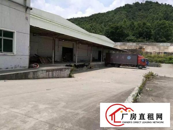 
横岗9000平米物流仓库，1000平米起租，带平台
